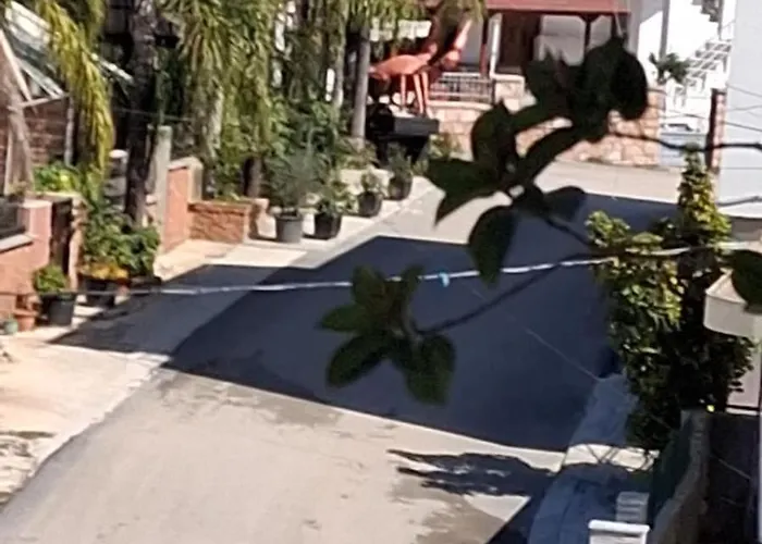 Noel & Lea קסאמיל